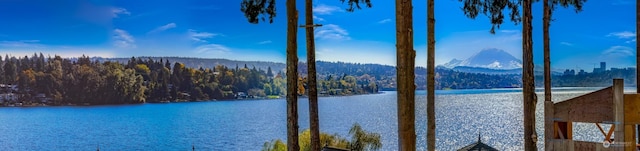view of water feature featuring a forest view
