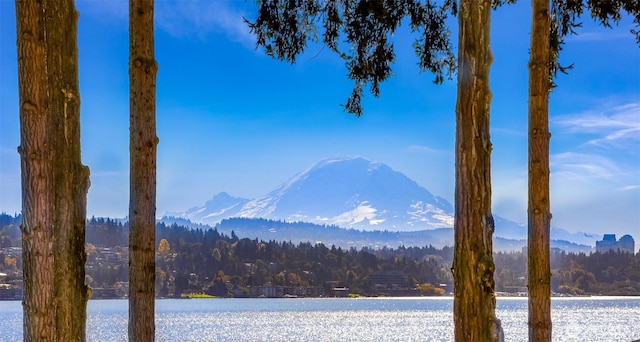 view of water feature with a view of trees