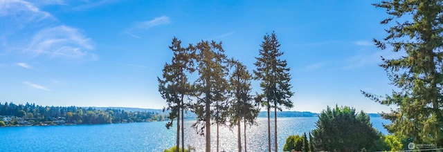 property view of water