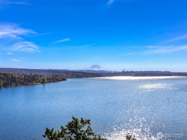 property view of water