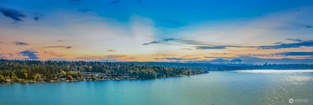 property view of water with a wooded view