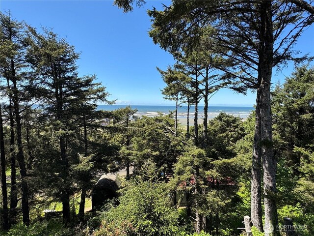 4751 State Route 109, Moclips, WA 98562 - water view