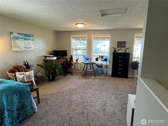 4751 State Route 109, Moclips, WA 98562 - office space with a textured ceiling, carpet floors, and attic access