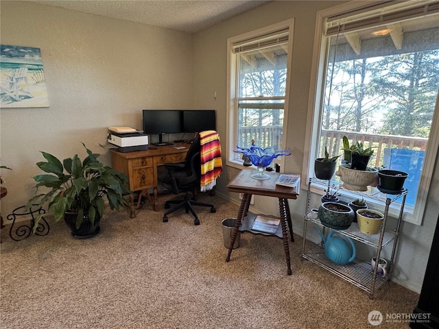4751 State Route 109, Moclips, WA 98562 - office space with carpet and a textured ceiling