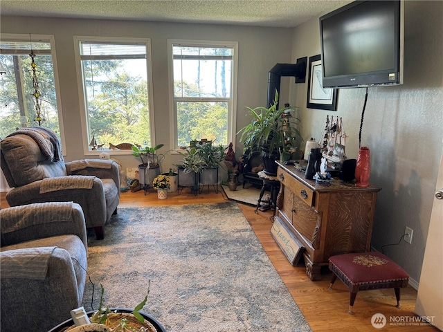 4751 State Route 109, Moclips, WA 98562 - living area featuring light wood-style flooring and a textured ceiling