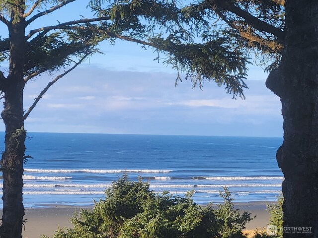 4751 State Route 109, Moclips, WA 98562 - water view with local beach