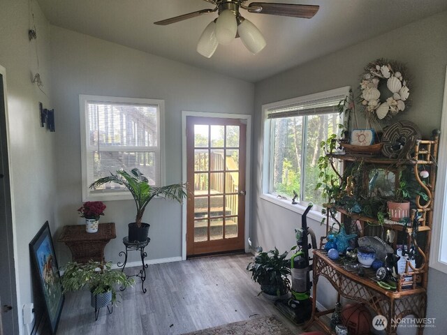 4751 State Route 109, Moclips, WA 98562 - entryway with lofted ceiling, wood finished floors, a ceiling fan, and baseboards
