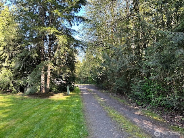 view of road featuring a wooded view