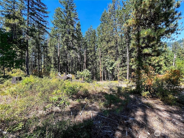 37 Noble Ln, Leavenworth, WA 98826 - photo 5
