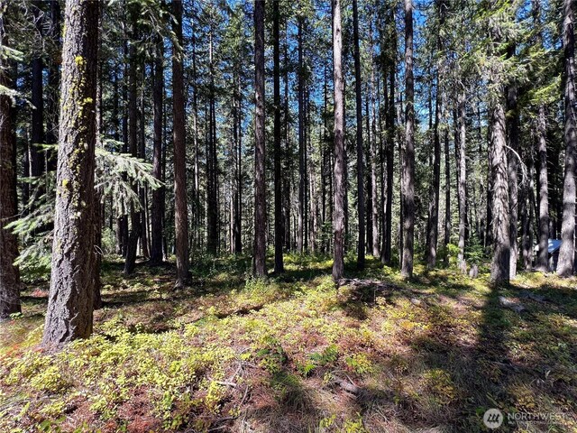 19 Noble Ln, Leavenworth, WA 98826 - photo 4