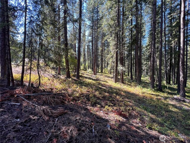 19 Noble Ln, Leavenworth, WA 98826 - photo 5