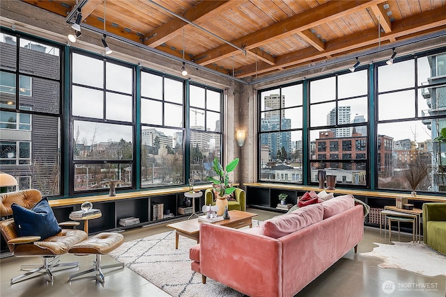 sunroom featuring a city view, rail lighting, and beam ceiling