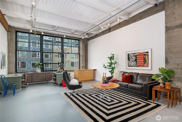 interior space featuring rail lighting and plenty of natural light
