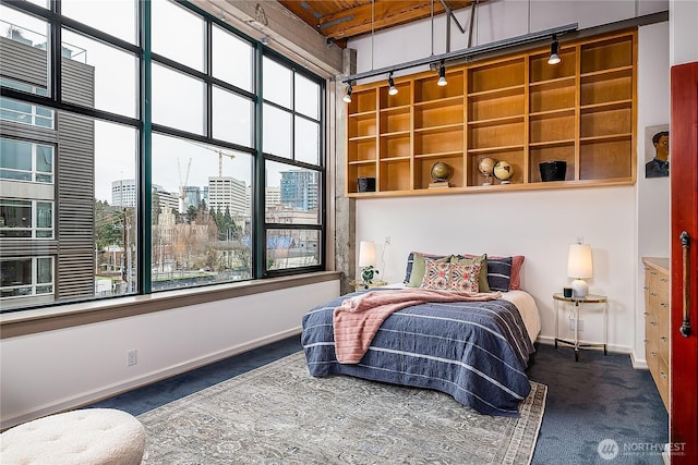 bedroom featuring a city view, a towering ceiling, baseboards, and carpet floors