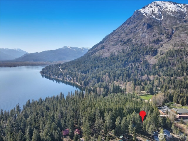 22745 Lake Wenatchee Hwy, Leavenworth, WA 98826 - photo 2