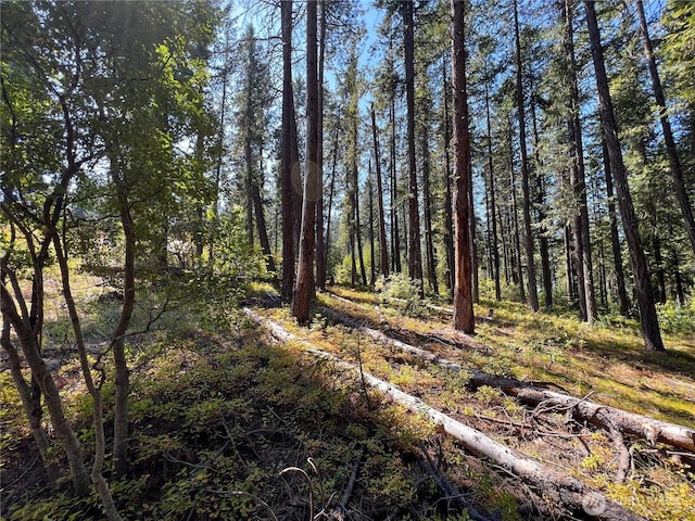 22745 Lake Wenatchee Hwy, Leavenworth, WA 98826 - photo 5