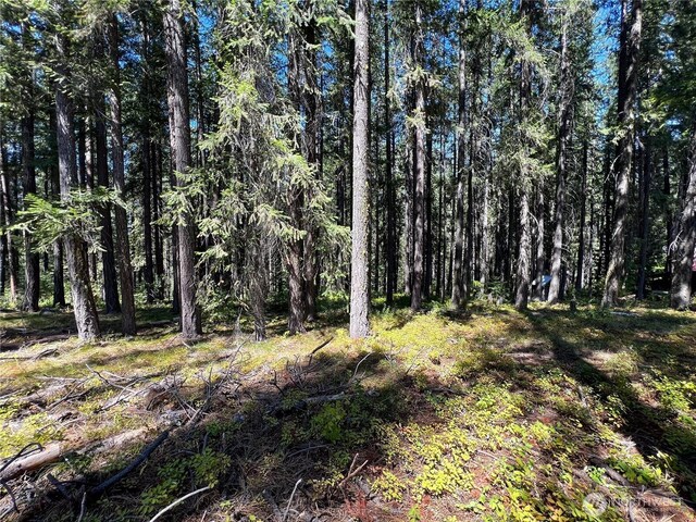 22745 Lake Wenatchee Hwy, Leavenworth, WA 98826 - photo 6