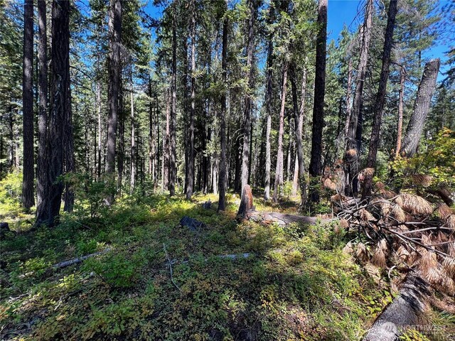 22745 Lake Wenatchee Hwy, Leavenworth, WA 98826 - photo 7
