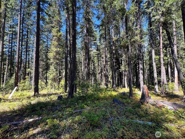 22745 Lake Wenatchee Hwy, Leavenworth, WA 98826 - photo 4