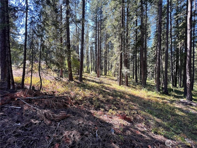 22745 Lake Wenatchee Hwy, Leavenworth, WA 98826 - photo 3