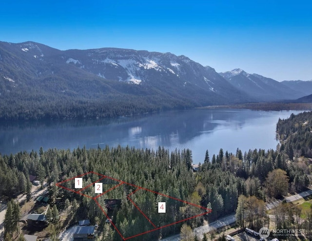 22745 Lake Wenatchee Hwy, Leavenworth, WA 98826 - photo 1