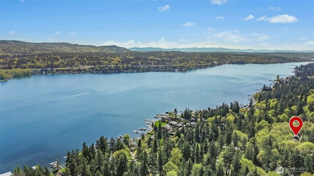 9376 Mercerwood Dr, Mercer Island, WA 98040 - water view with a mountain view and a wooded view