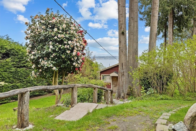view of yard