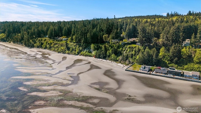 birds eye view of property featuring a forest view