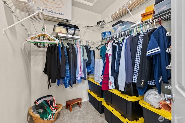 walk in closet featuring carpet flooring