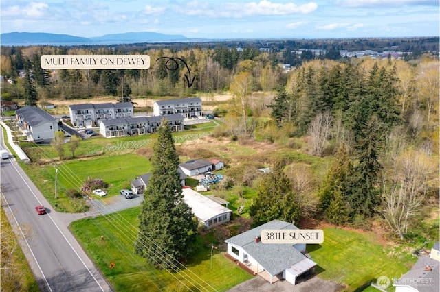 aerial view with a forest view
