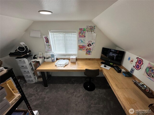 office with carpet floors and vaulted ceiling