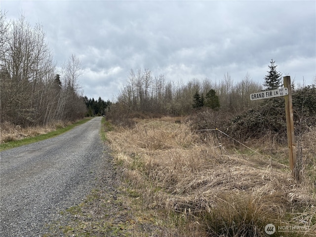 118 Grand Fir Ln, Toledo, WA 98591 - photo 11