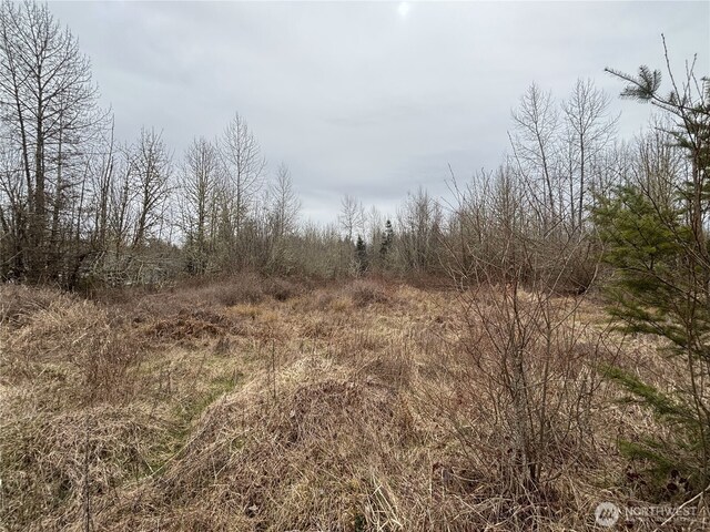 118 Grand Fir Ln, Toledo, WA 98591 - photo 7