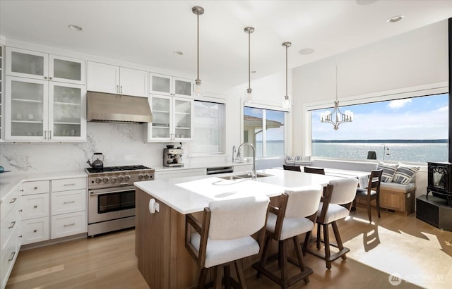 kitchen with a sink, under cabinet range hood, white cabinetry, backsplash, and high end range