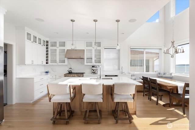 kitchen with tasteful backsplash, under cabinet range hood, a kitchen island with sink, a sink, and light wood finished floors