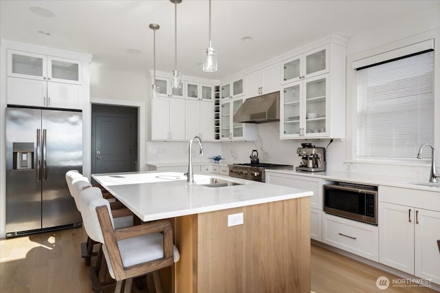 kitchen featuring under cabinet range hood, light wood finished floors, a sink, and stainless steel appliances