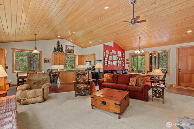 230 Fawn Ln, Leavenworth, WA 98826 - photo 10