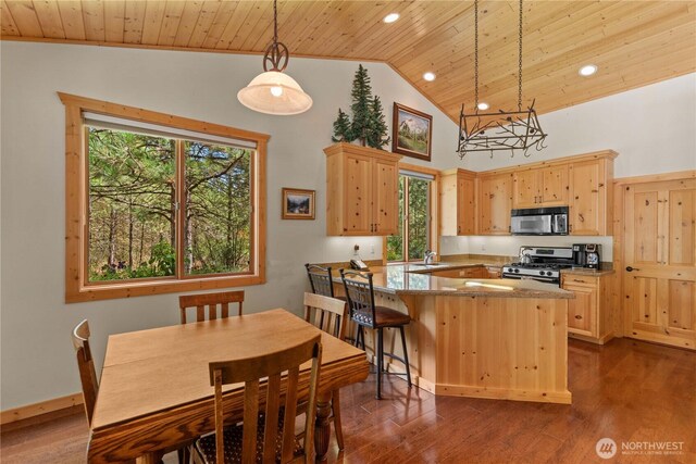 230 Fawn Ln, Leavenworth, WA 98826 - photo 12