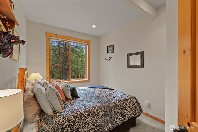 230 Fawn Ln, Leavenworth, WA 98826 - photo 19