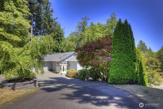 5607 178th St SW, Lynnwood, WA 98037 - photo 5