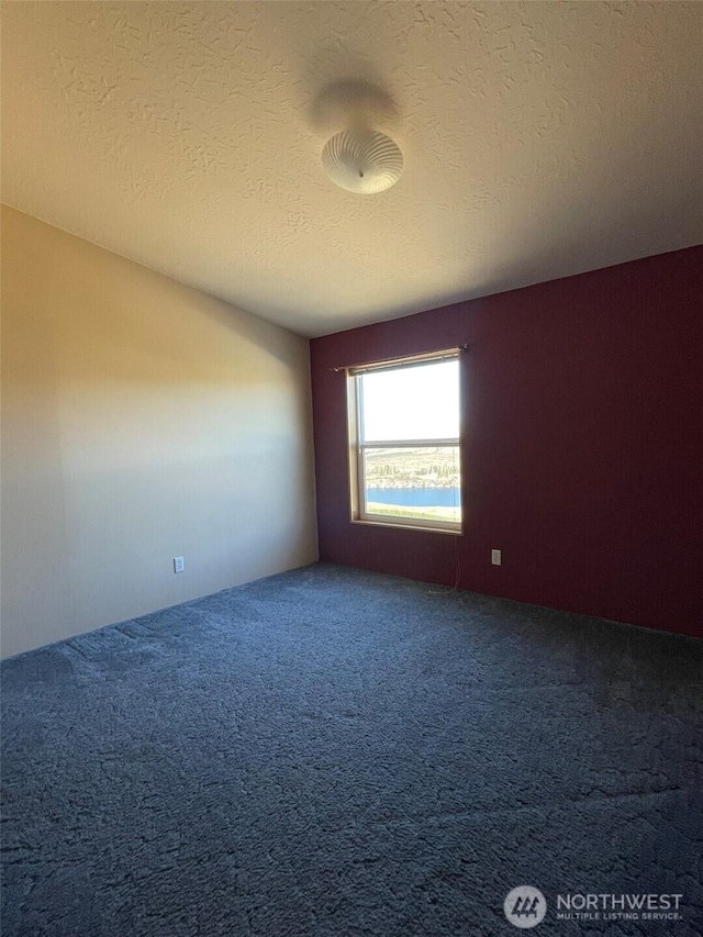 700 Pearl Hill Rd, Bridgeport, WA 98813 - carpeted empty room with a textured ceiling