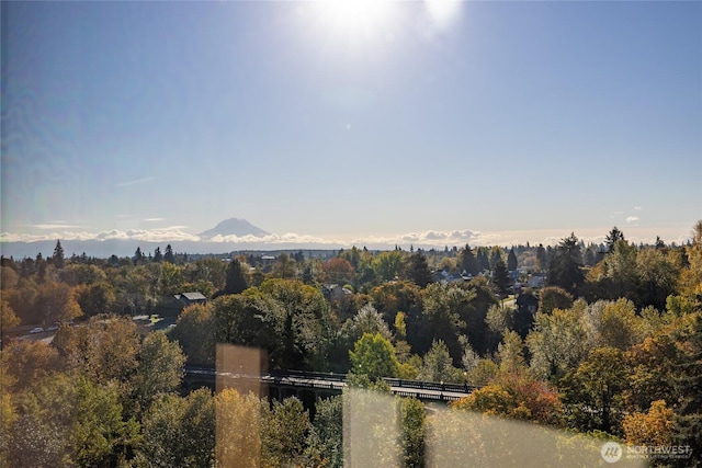 property view of mountains featuring a wooded view