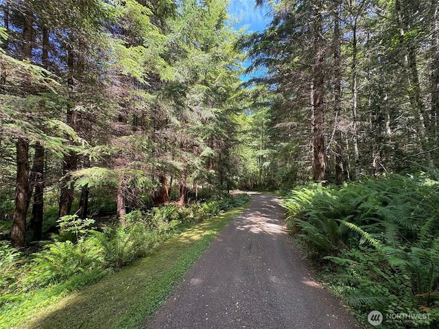 325 Evergreen View Pkwy, Port Angeles, WA 98363 - view of road with a forest view