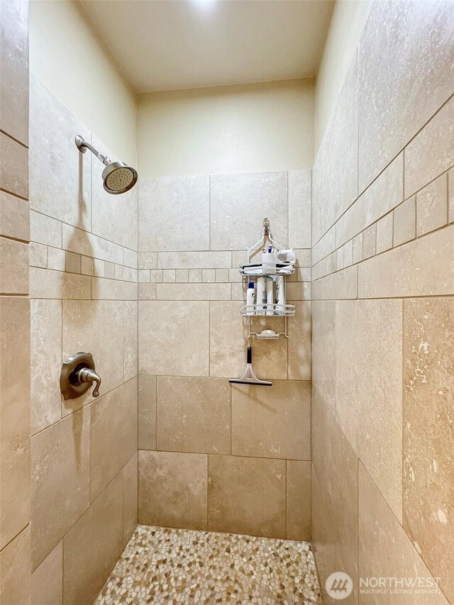 325 Evergreen View Pkwy, Port Angeles, WA 98363 - bathroom featuring tiled shower