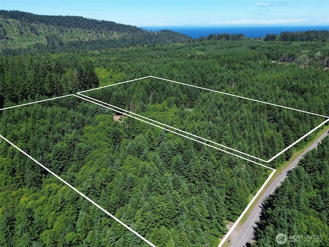 325 Evergreen View Pkwy, Port Angeles, WA 98363 - birds eye view of property with a view of trees