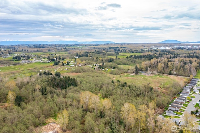 4656 Bay Rd, Blaine, WA 98230 - birds eye view of property with a mountain view