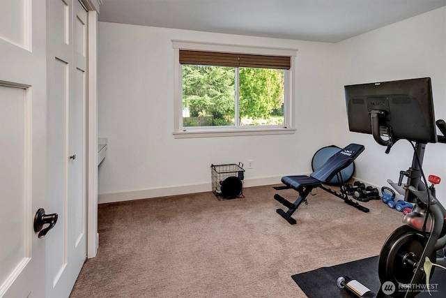 exercise area with baseboards and carpet floors