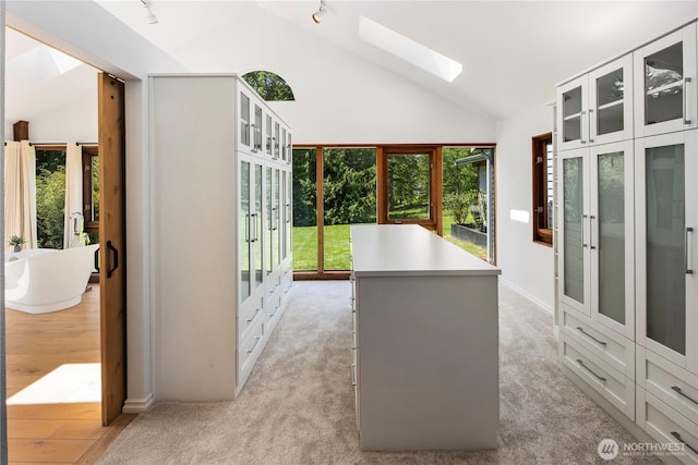 12425 318th Ave NE, Duvall, WA 98019 - interior space featuring french doors, lofted ceiling, rail lighting, and a skylight