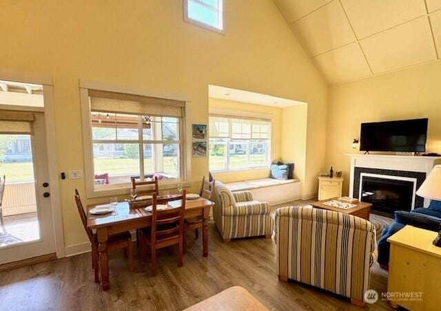 living area featuring plenty of natural light, wood finished floors, a fireplace, and high vaulted ceiling