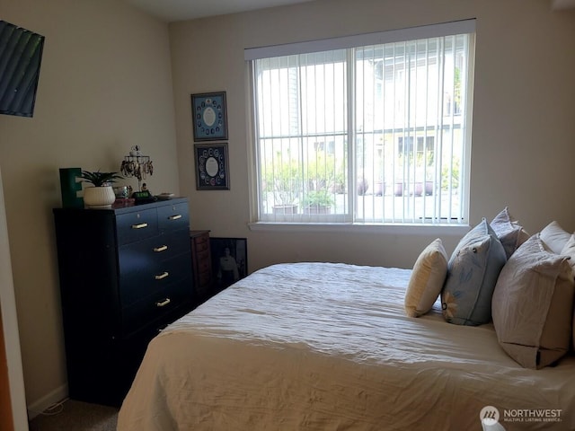 225 Logan Ave S Unit 106, Renton, WA 98057 - photo 5